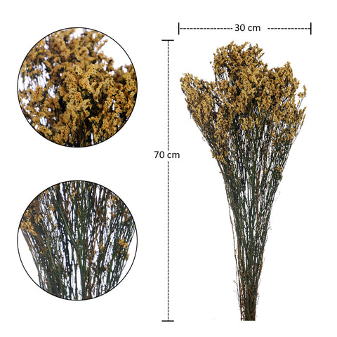 Dried Crystal Grass