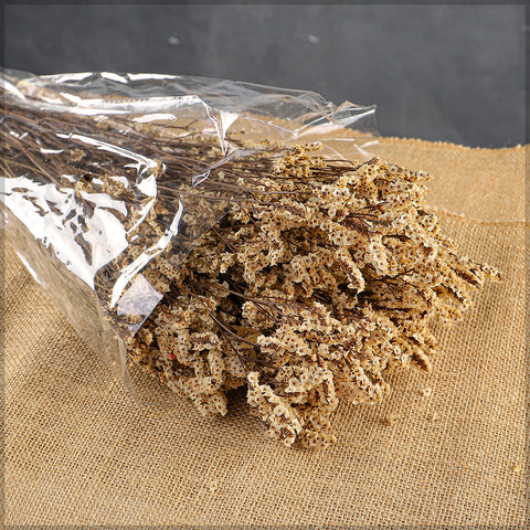 Dried Crystal Grass