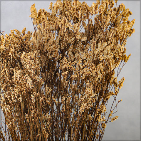 Dried Crystal Grass