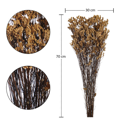 Dried Crystal Grass