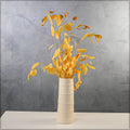 Natural preserved eucalyptus leaves