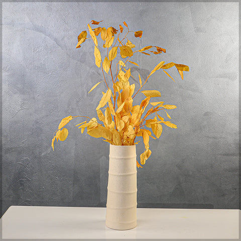 Natural preserved eucalyptus leaves