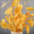 Preserved eucalyptus for arrangements