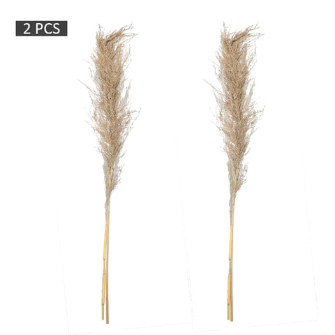 2pcs dried pampas grass
