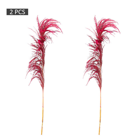 2-Packs Natural Dried Pampas Grass