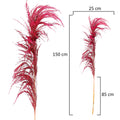 Elegant pampas grass arrangement for modern interiors
