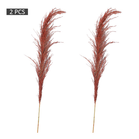 Soft pampas grass décor