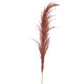 Luxurious pampas grass