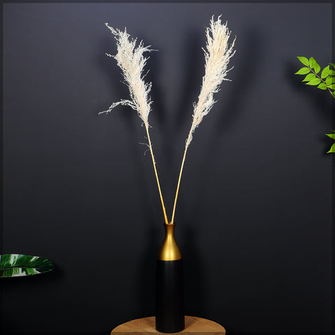 Beautiful dried pampas grass stems