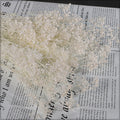 Preserved Baby’s Breath Flowers
