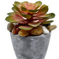 Artificial Pink Succulent Plant Potted