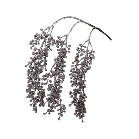 senecio pearls plant