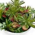 Artificial Succulent Plant with Wooden Stump