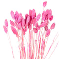 Dried Grass Bouquets