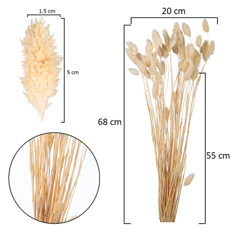 Natural Dried Flowers