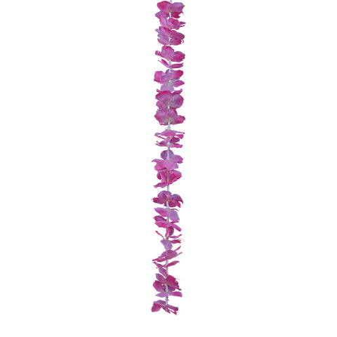 wisteria