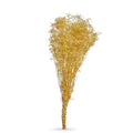 Boho Dried Flowers for Arrangements