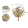 palm fronds
