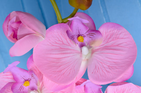 Artificial orchid flowers