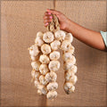 Garlic wall hanging