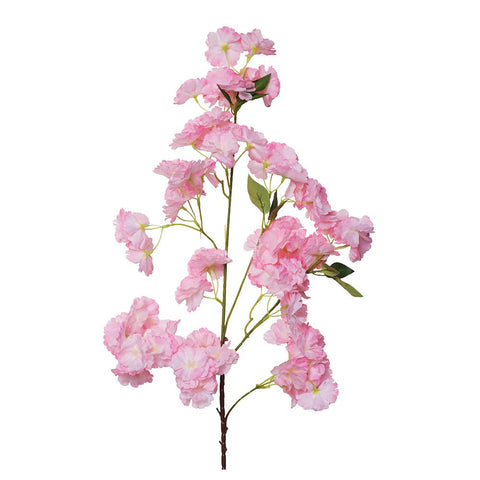 Cherry Blossom Stem
