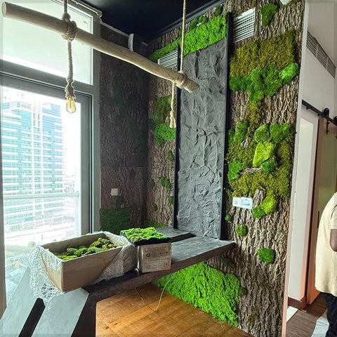 Nature-Inspired Cozy Living Room with Greenery and Leaf Ceiling Light for display purposes only (non-sale)