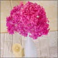Hydrangea flower preserved