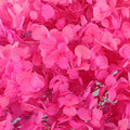 Dried hydrangea arrangements