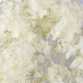 Dried hydrangea flower heads