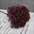 Elegant Dried Hydrangea Stems
