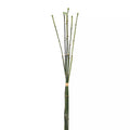 Artificial bamboo sticks