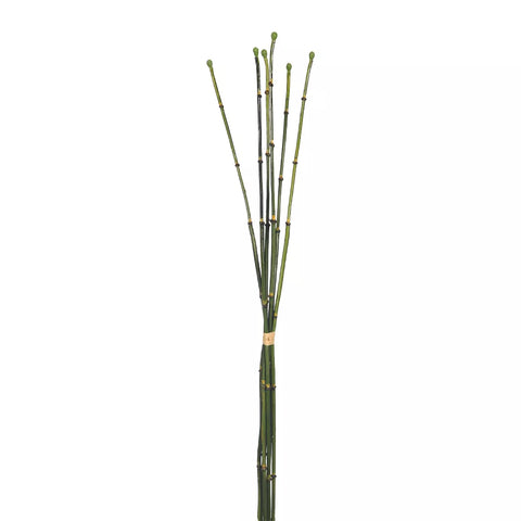 Artificial bamboo sticks