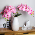 Orchid Stems for Vase