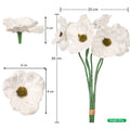 poppy bloom
