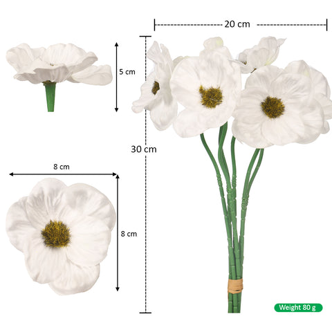 poppy bloom