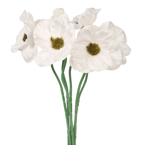 white poppy flower