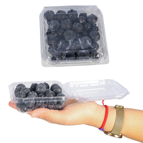 Nearly natural fake blueberry