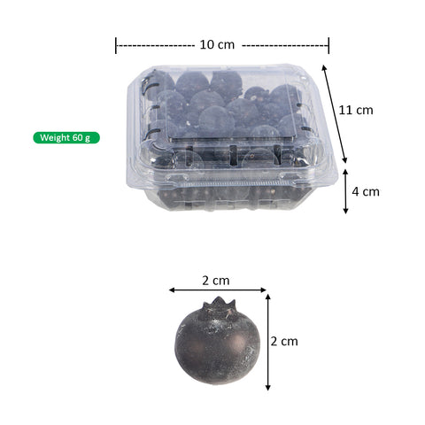 Artificial blueberry stem