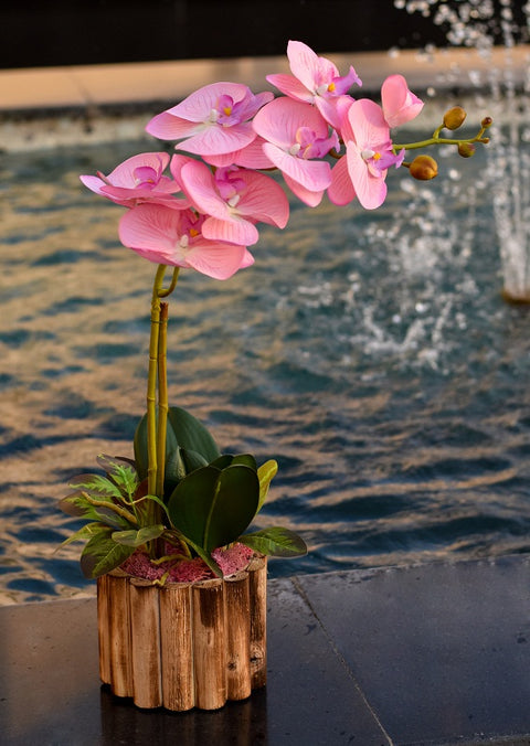 Faux orchid plant