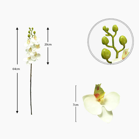 white artificial phalaenopsis orchid