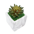 Artificial Succulent Plant with Ceramic Vase