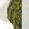 leaf wall decor