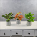 Realistic Artificial Evergreen Mini Plant