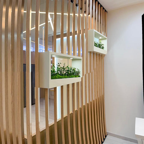 Green Wall and Hanging Leaves Decoration for display purposes only (non-sale)