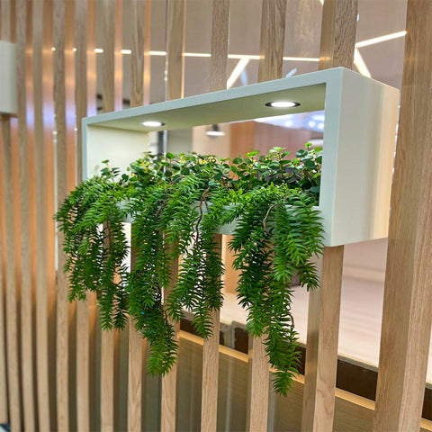 Green Wall and Hanging Leaves Decoration for display purposes only (non-sale)
