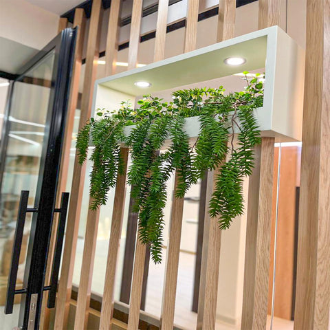 Green Wall and Hanging Leaves Decoration for display purposes only (non-sale)