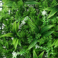 Artificial grass wall covering