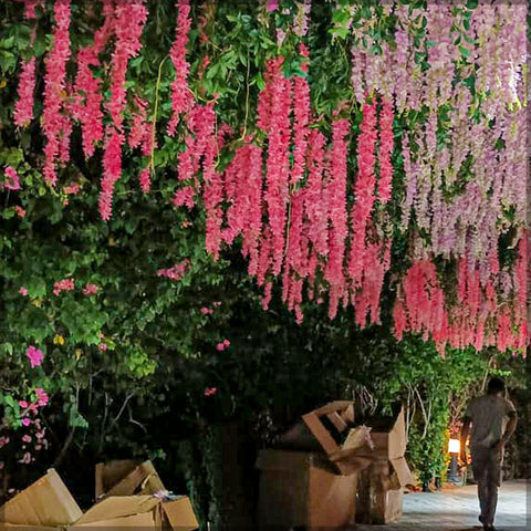 Hanging flowers