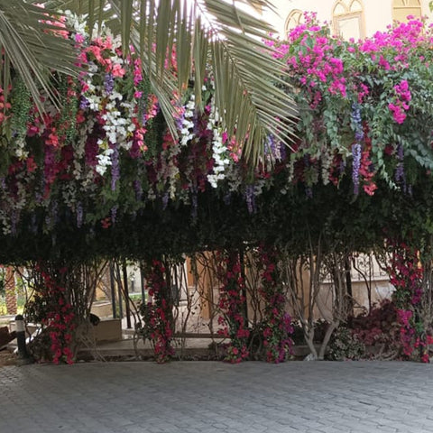 Decorative hanging baskets