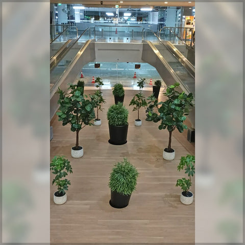 Hanging Leaves and Plants Decoration
